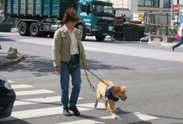 Traverse, les travaux